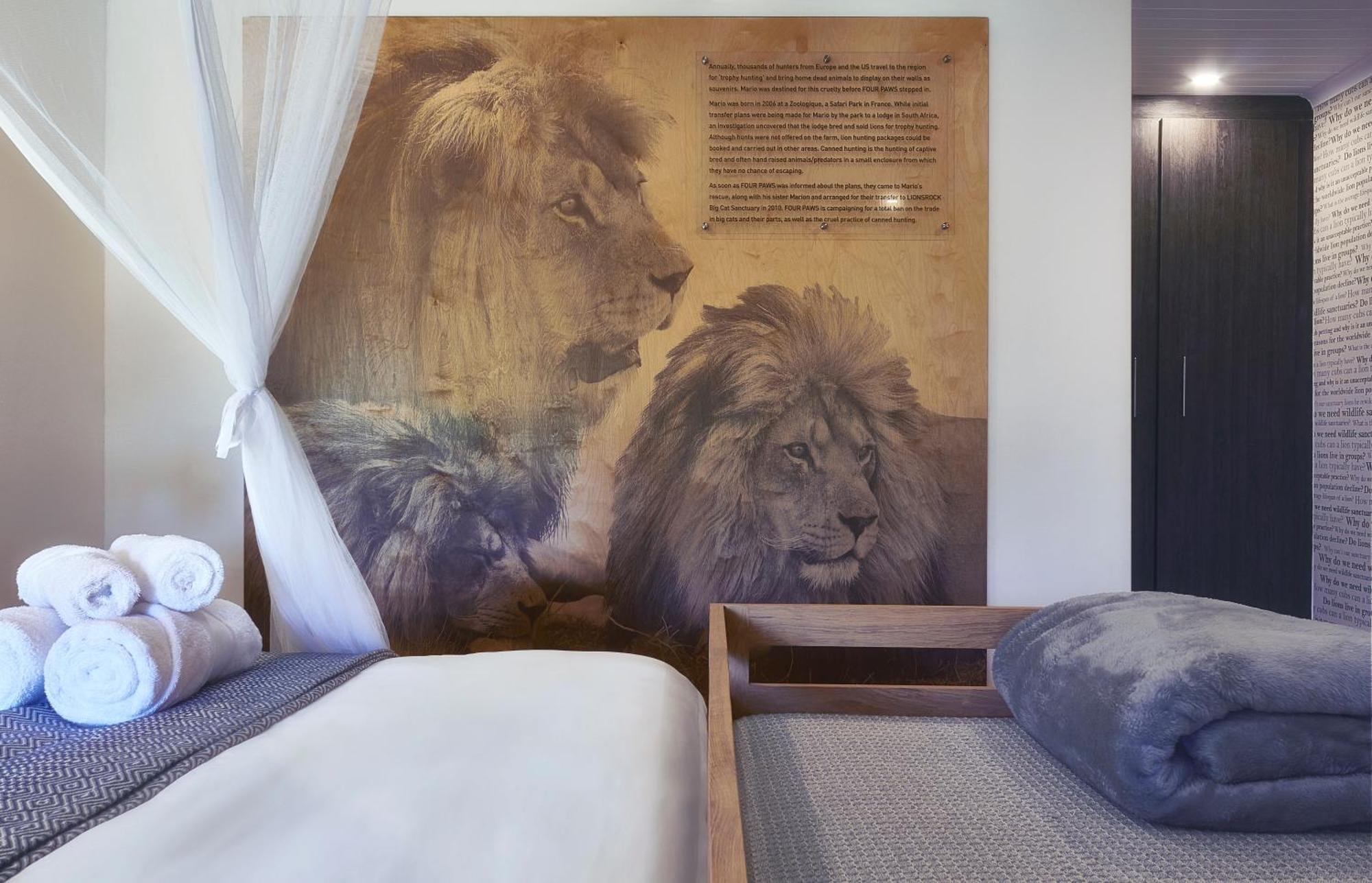 Lionsrock Big Cat Sanctuary Villa Bethlehem Exterior foto